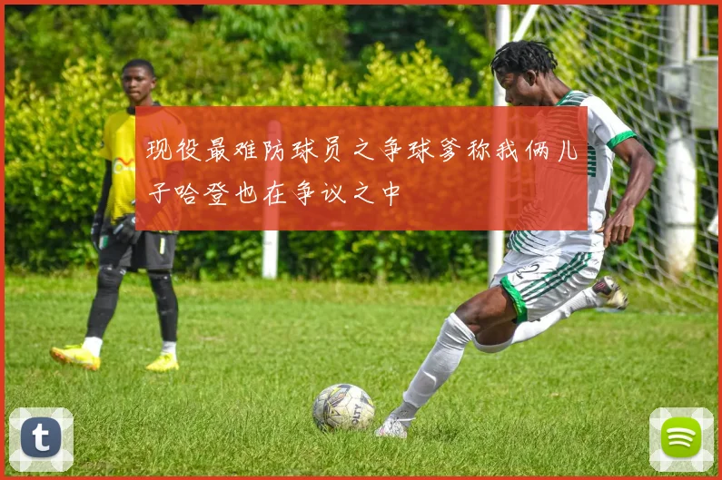 现役最难防球员之争球爹称我俩儿子哈登也在争议之中